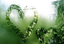 爱游体育直播-圣埃蒂安战平图卢兹，法甲保级形势略显乐观