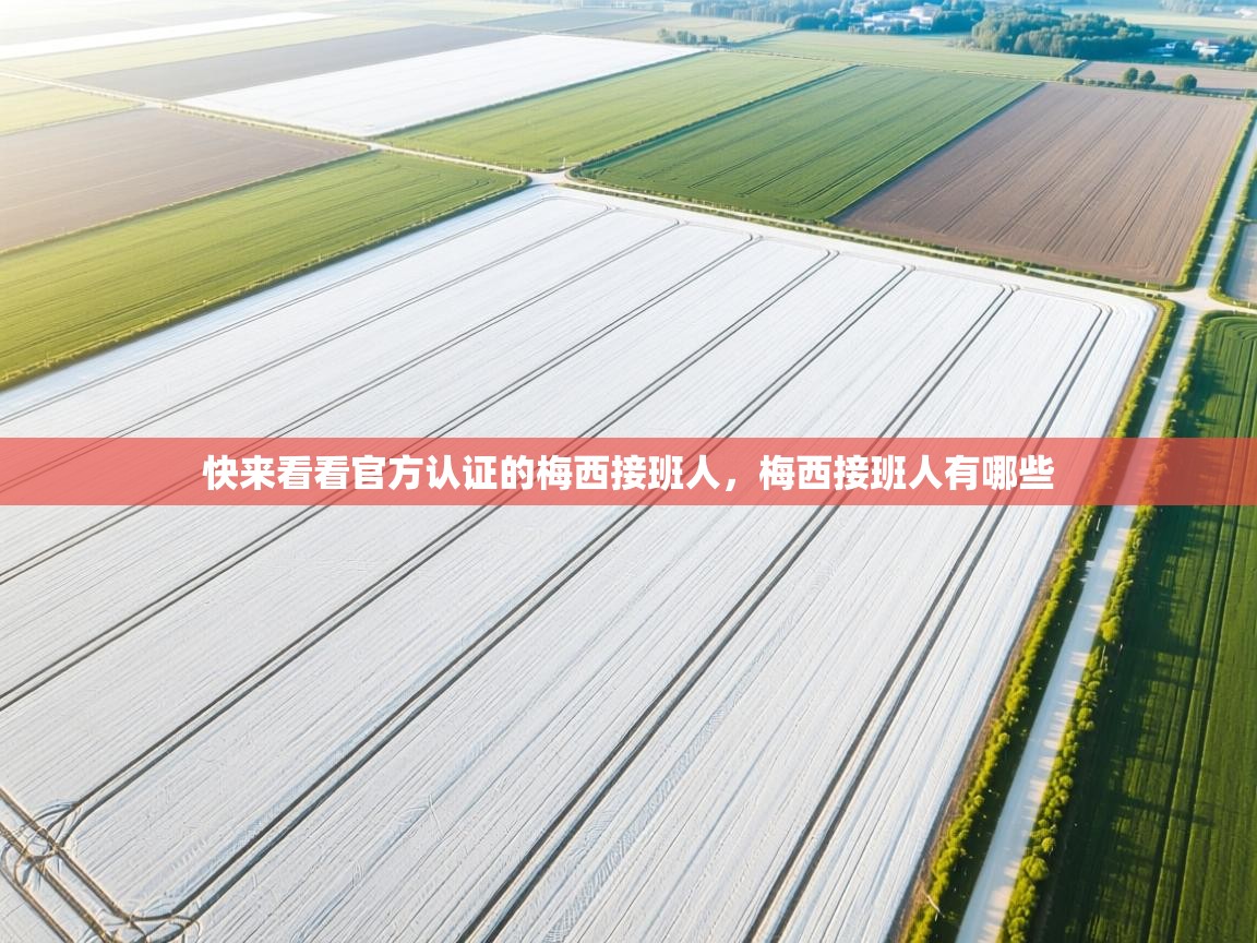 爱游戏体育娱乐赞助马竞-快来看看官方认证的梅西接班人,梅西接班人有哪些 第2张