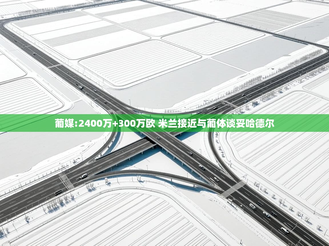 爱游戏官网-葡媒:2400万+300万欧 米兰接近与葡体谈妥哈德尔 第3张
