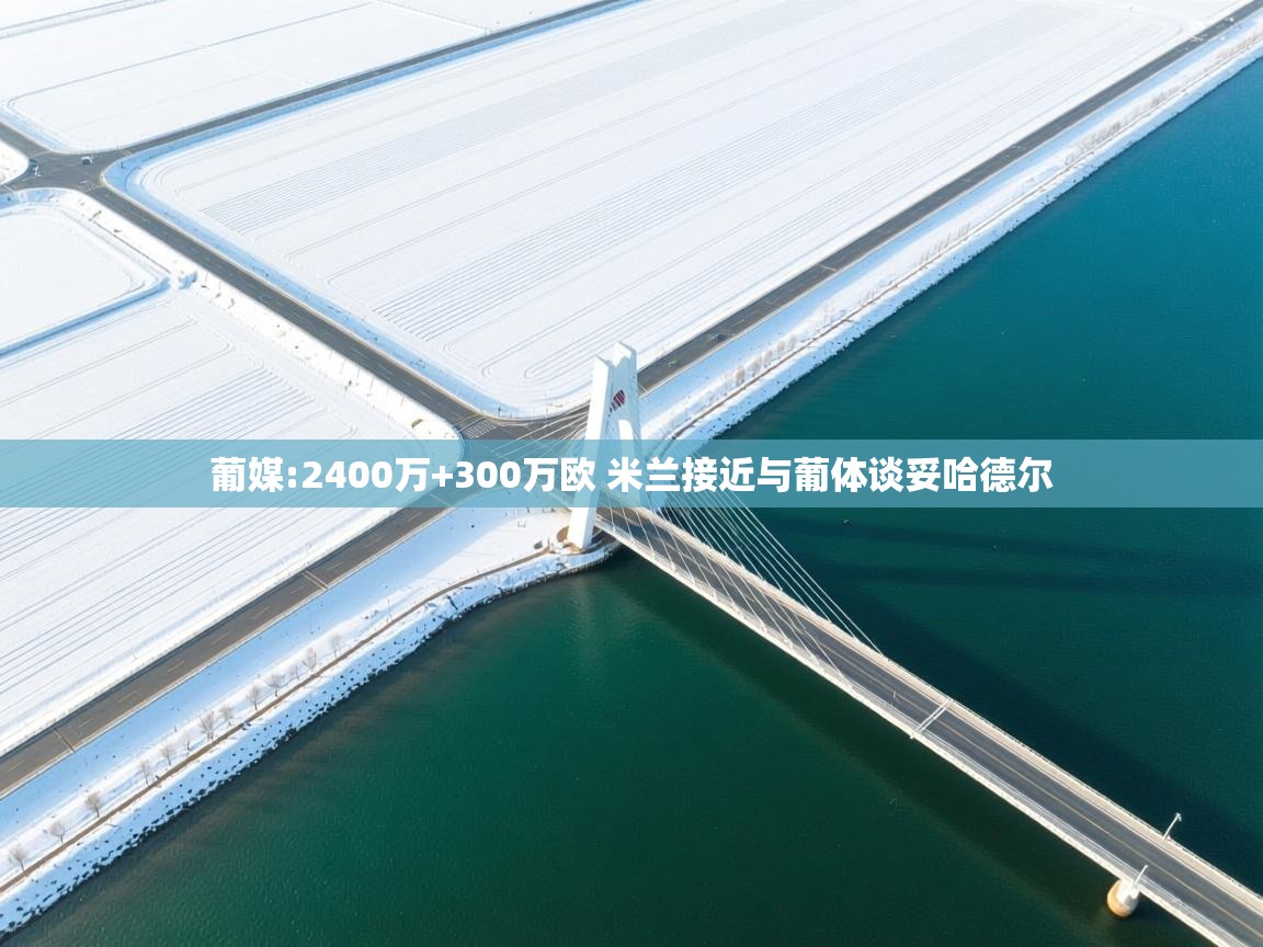 爱游戏官网-葡媒:2400万+300万欧 米兰接近与葡体谈妥哈德尔 第4张