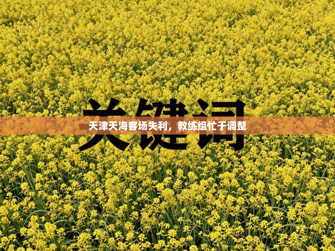 爱游戏真人体育娱乐-天津天海客场失利，教练组忙于调整  第2张