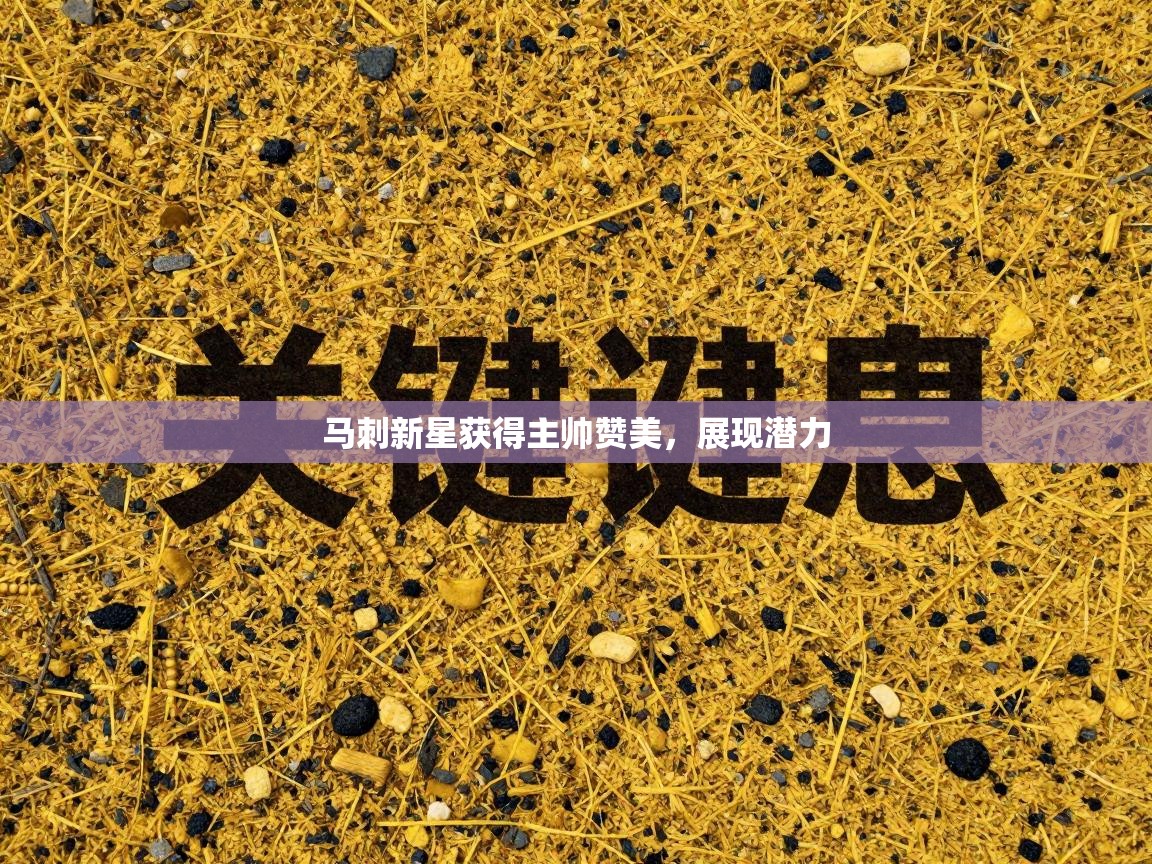 体育互动直播网-马刺新星获得主帅赞美，展现潜力  第1张