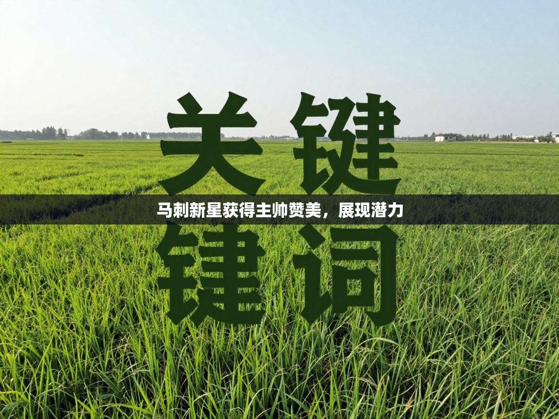 体育互动直播网-马刺新星获得主帅赞美，展现潜力  第3张