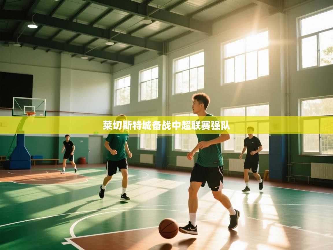 爱游戏体育娱乐罗马赞助商-莱切斯特城备战中超联赛强队  第1张