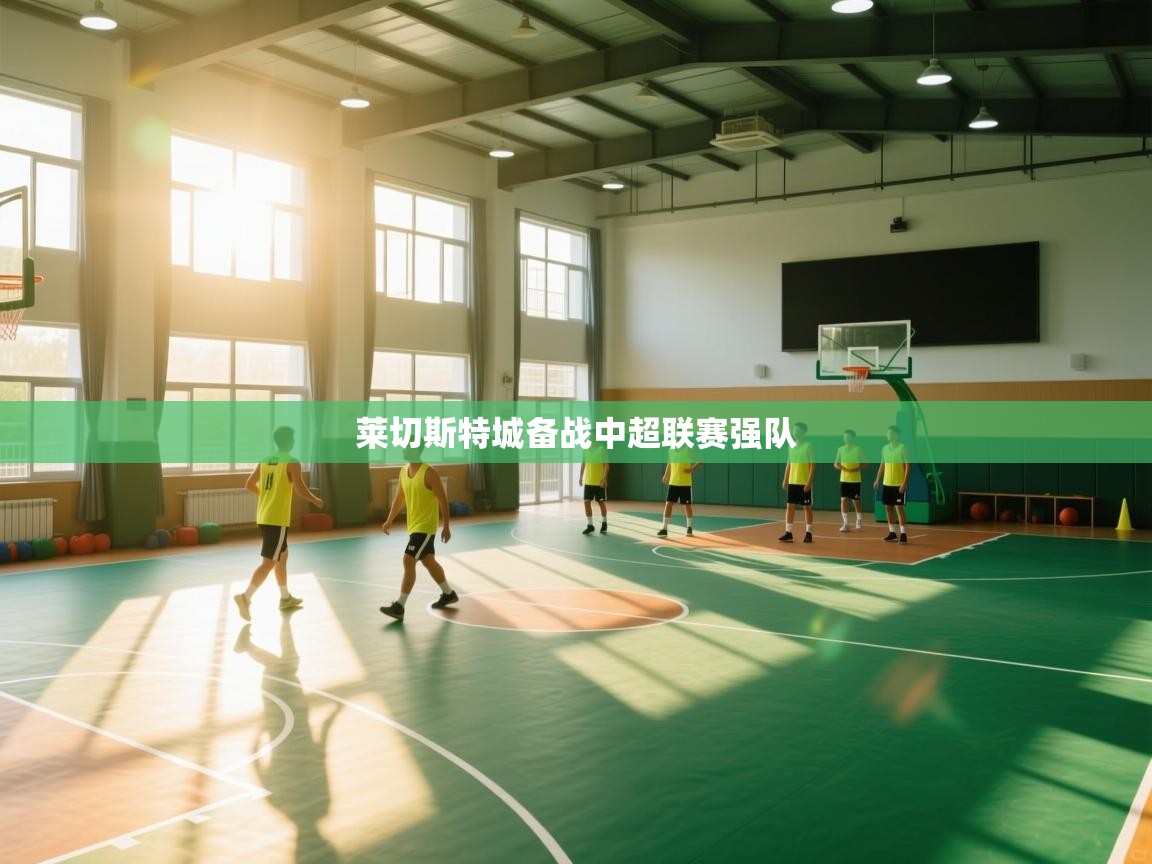 爱游戏体育娱乐罗马赞助商-莱切斯特城备战中超联赛强队  第3张