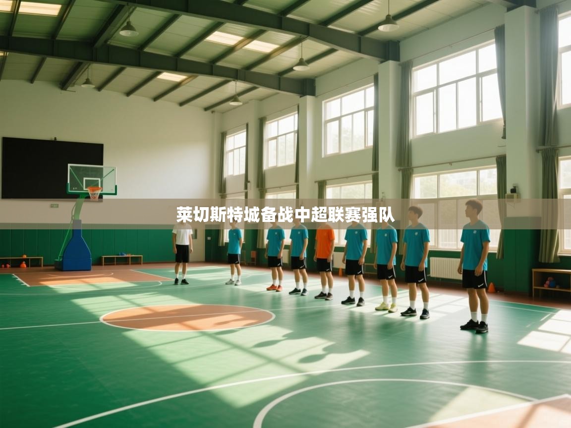 爱游戏体育娱乐罗马赞助商-莱切斯特城备战中超联赛强队  第4张