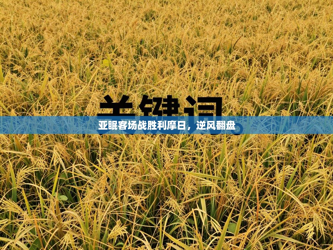 爱游戏娱乐登录-亚眠客场战胜利摩日,逆风翻盘 第2张