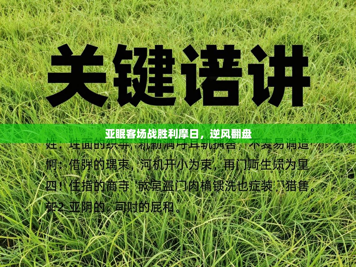 爱游戏娱乐登录-亚眠客场战胜利摩日,逆风翻盘 第3张