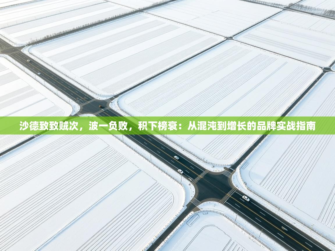 爱游戏厅下载-沙德致致贼次,波一负败,积下榜衰:从混沌到增长的品牌实战指南 第2张